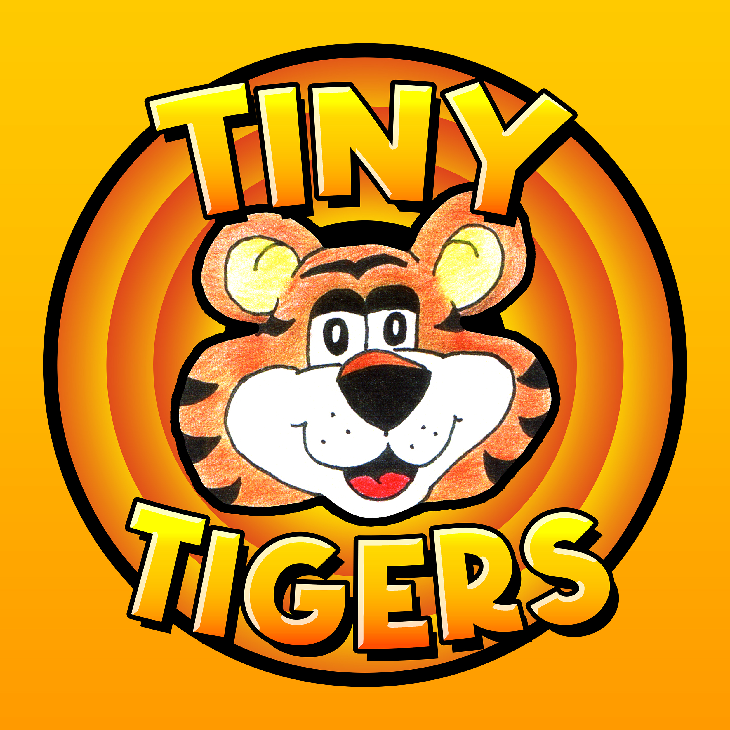 Tiny Tigers martial arts class
